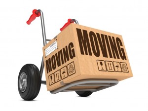 Need the Movers