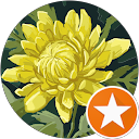 Jean Cowles profile picture