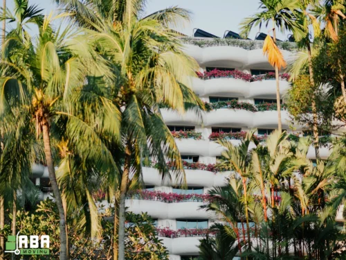 Summer Condo Movers Skylines Palms