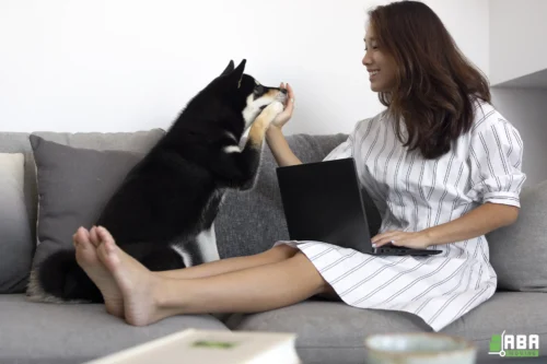 Summer Pet-Friendly Moving Service Customer and Dog Planning Relocation