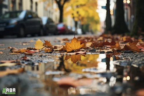 September Lease Gap Autumn Road After Rain